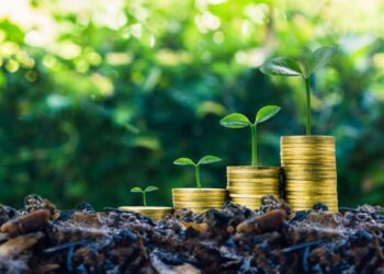 Stacks of coins growing into plants illustrate how sustainable finance supports both economic and environmental progress.