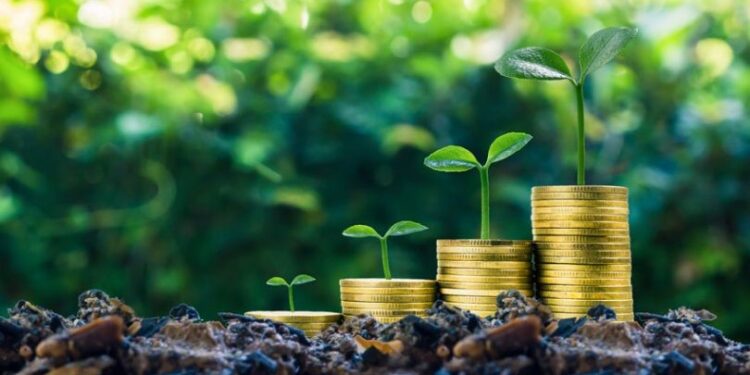 Stacks of coins growing into plants illustrate how sustainable finance supports both economic and environmental progress.